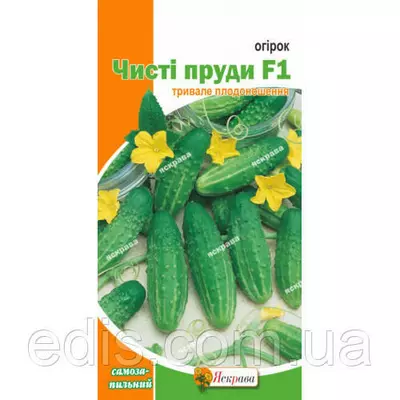 Огірок Чисті пруди F1 (букетний, самозапильний) F1 0,3 г, насіння Яскрава