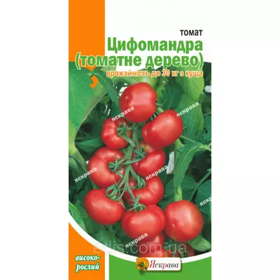 Томат Цифомандра (томатне дерево) 0,1 г, насіння Яскрава