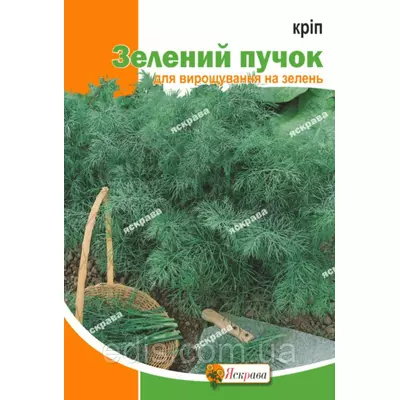 Кріп кущовий Зелений пучок 20 г, насіння Яскрава